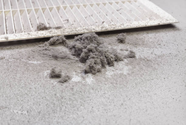 Best Air Duct Cleaning Company Near Me  in North Palm Beach, FL