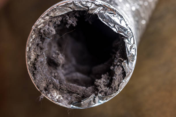 Best Professional Duct Cleaning Services  in North Palm Beach, FL