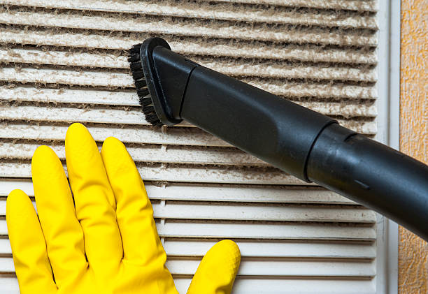 Best Affordable HVAC Duct Cleaning  in North Palm Beach, FL